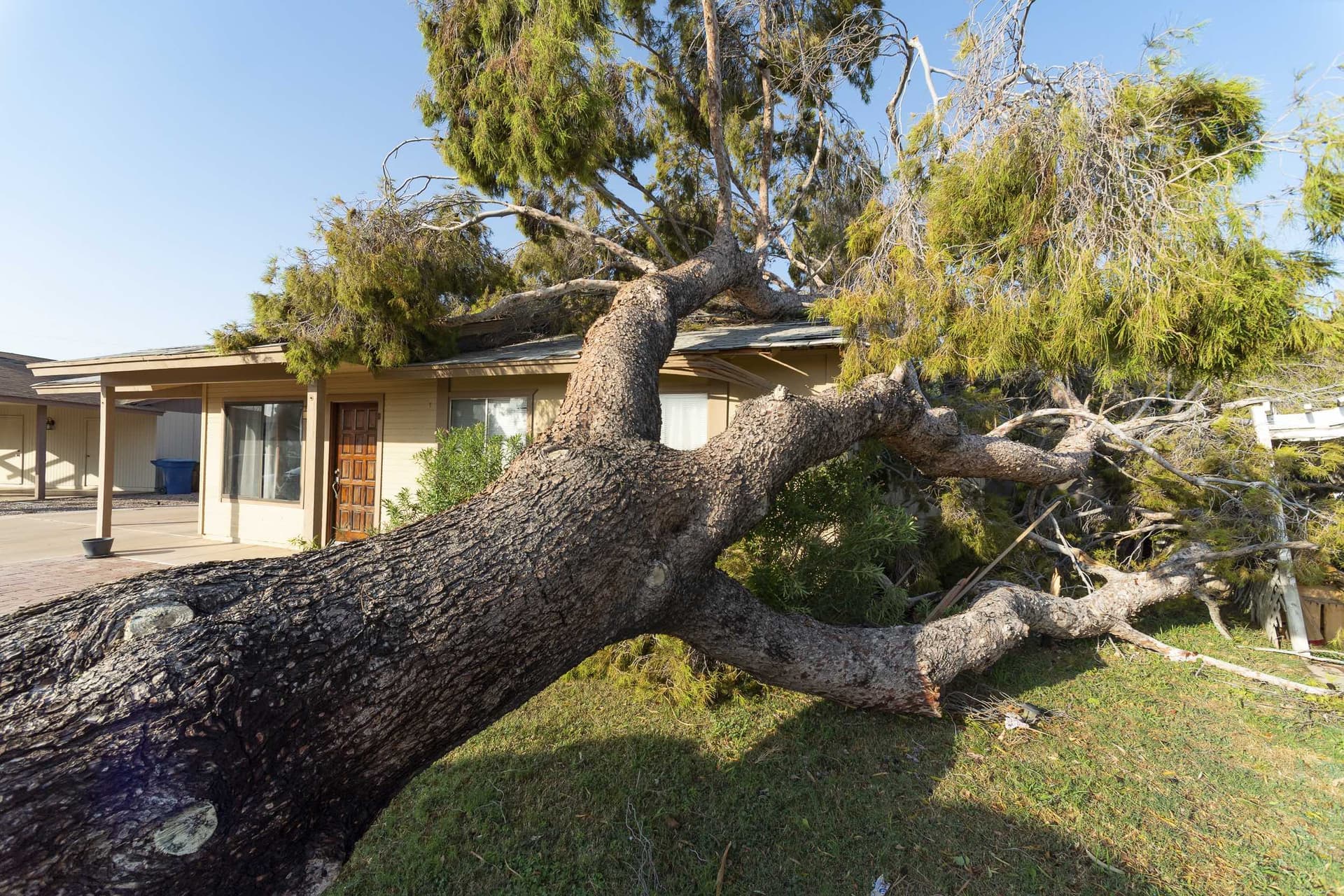 Roof Storm Damage