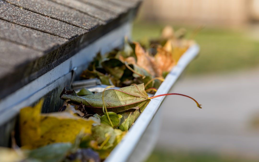 Why Maintaining Your Roof is So Important